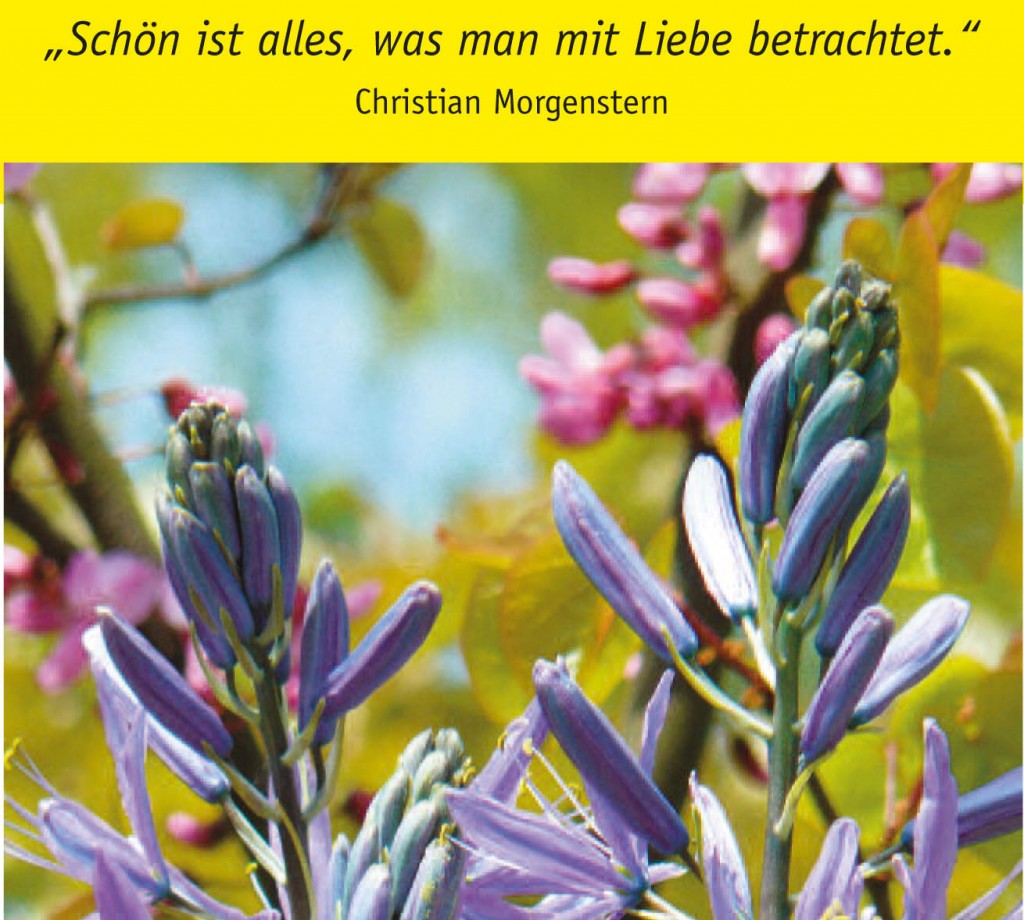 Fotospruch