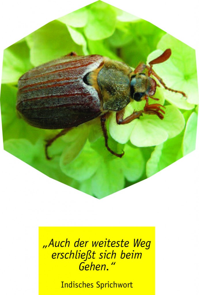 Fotospruch